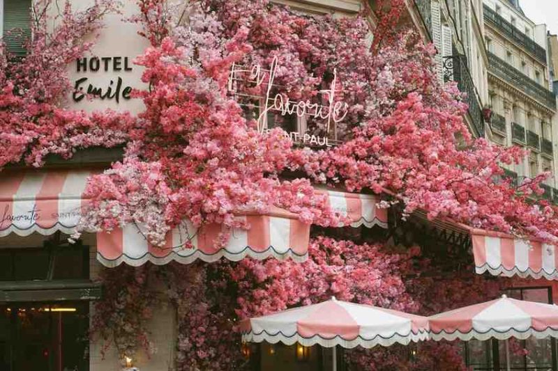 The Northeast Experience: Color, Charm, and Culture